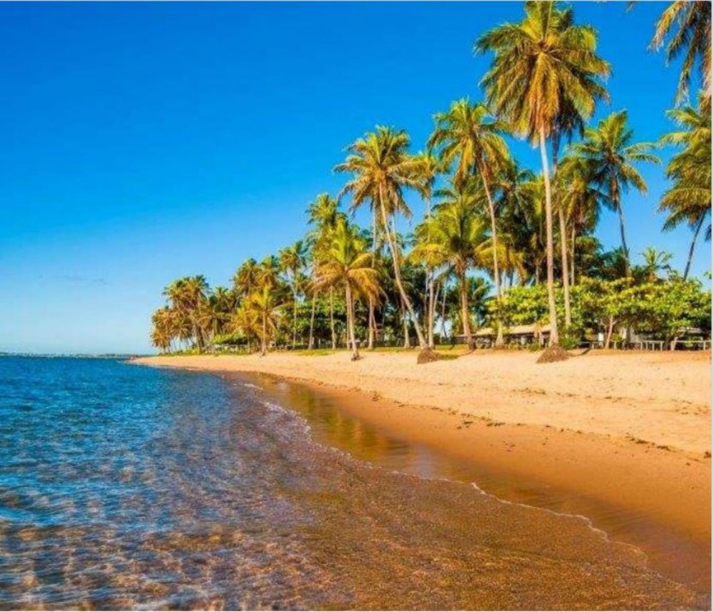 Terreno - Venda - Praia do Forte - Mata de So Joo - BA